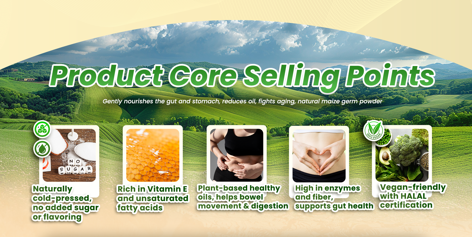 Product Core Selling Points